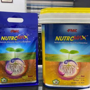 Mycorrhizal Biofertilizer