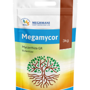 Vesicular arbuscular mycorrhiza (VAM) Granules